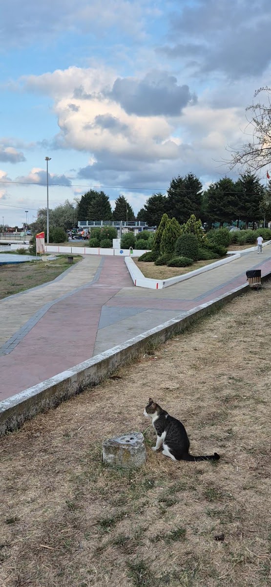 Samsun Karavan Kamp — fotoğraf 2