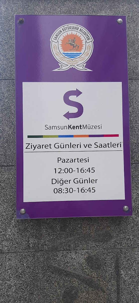 Samsun Kent Müzesi — fotoğraf 2