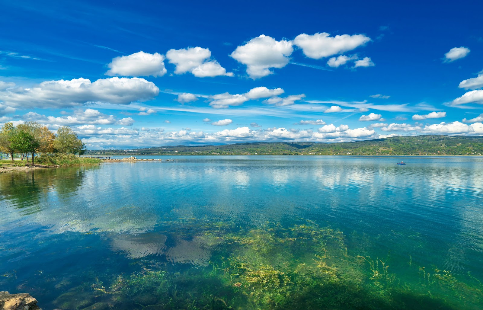 Sapanca Portakal Çiçeği Sanat Kolonisi -Doğa Parkı — fotoğraf
