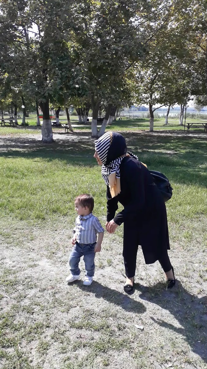 Sapanca Portakal Çiçeği Sanat Kolonisi -Doğa Parkı — fotoğraf 3