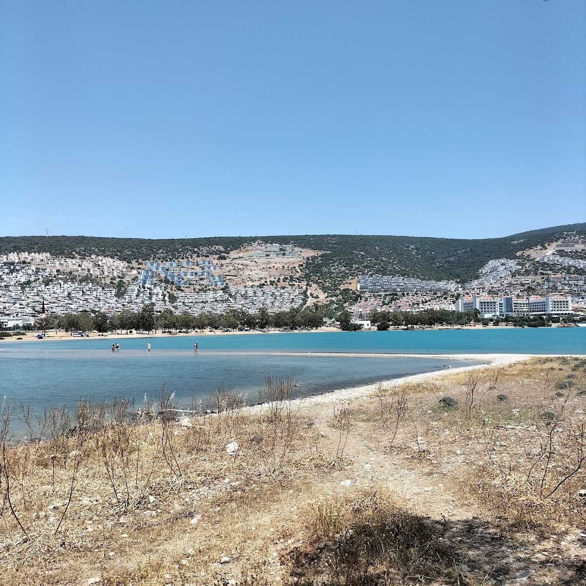 Saplı Ada — fotoğraf 1