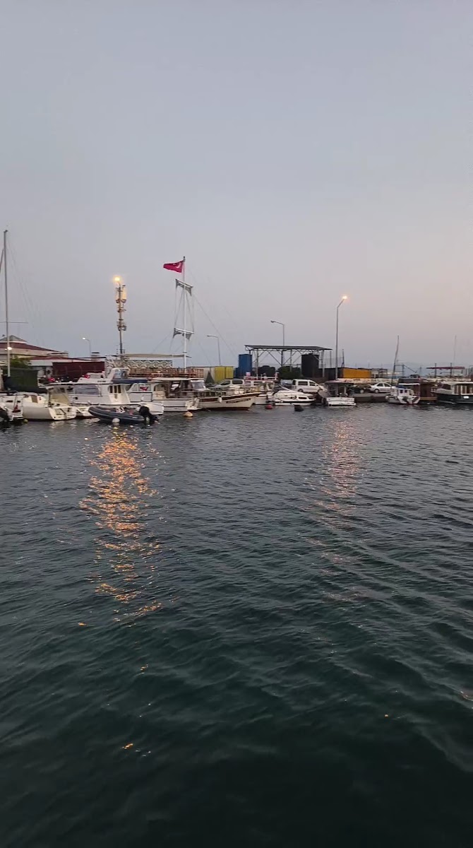 Saray Restoran — fotoğraf 3