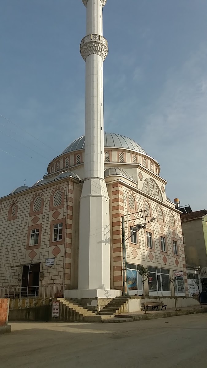 Saraydüzü Merkez Cami — photo 2