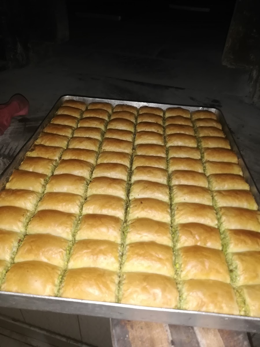 Saraygülü — fotoğraf 2