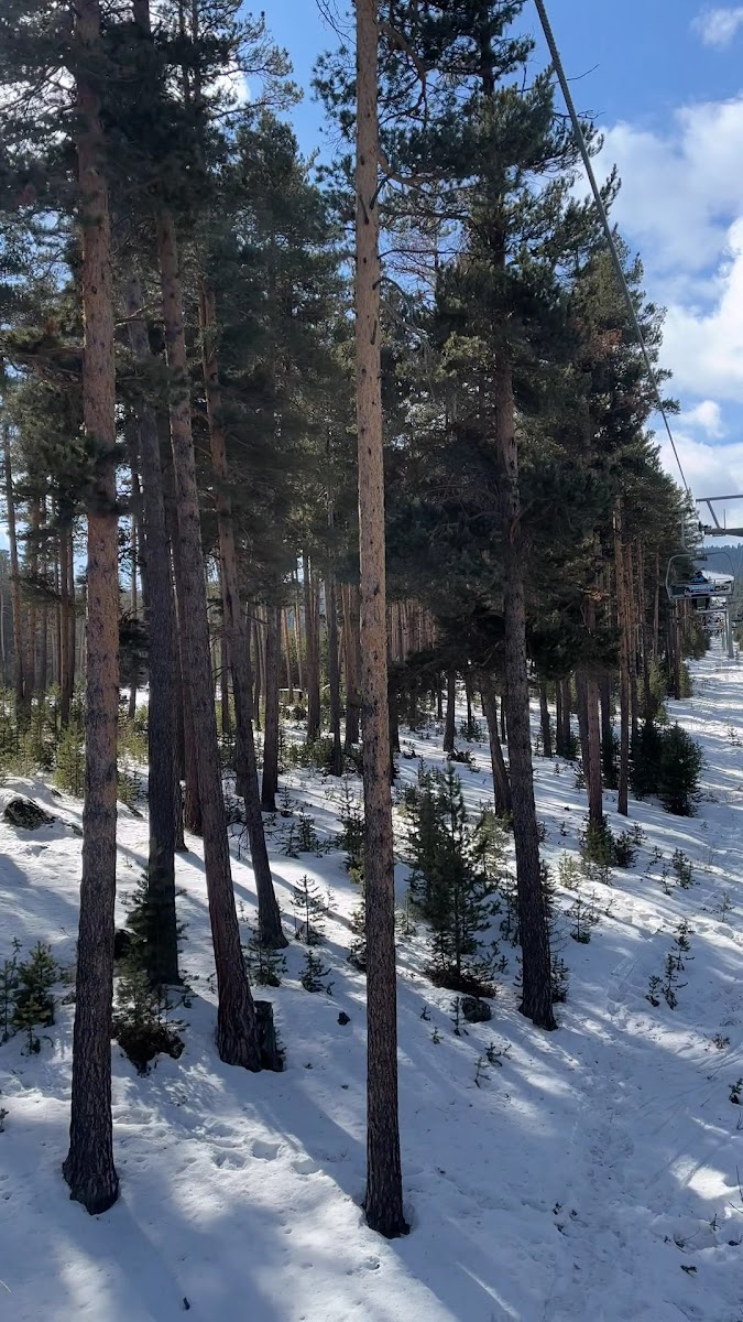 Sarıkamış Kayak Merkezi - Sarıkamış Ski Resort — fotoğraf 4
