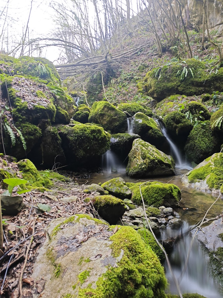 SARIKAYA MAĞARASI — fotoğraf 2