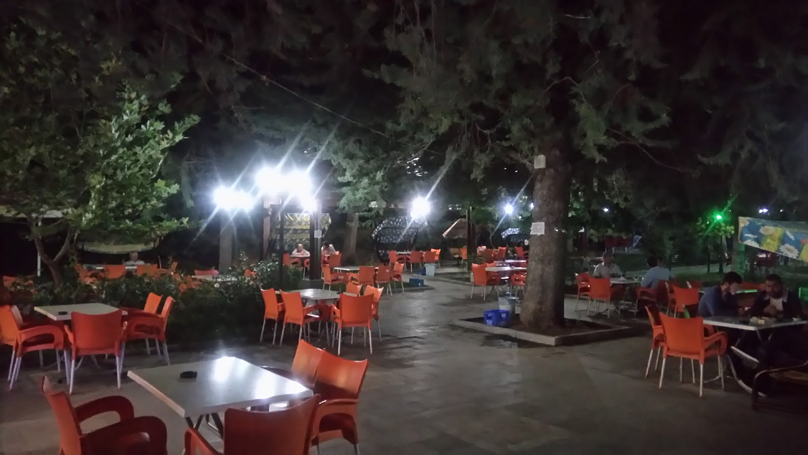 Sarisum aile çay bahçesi — photo 2