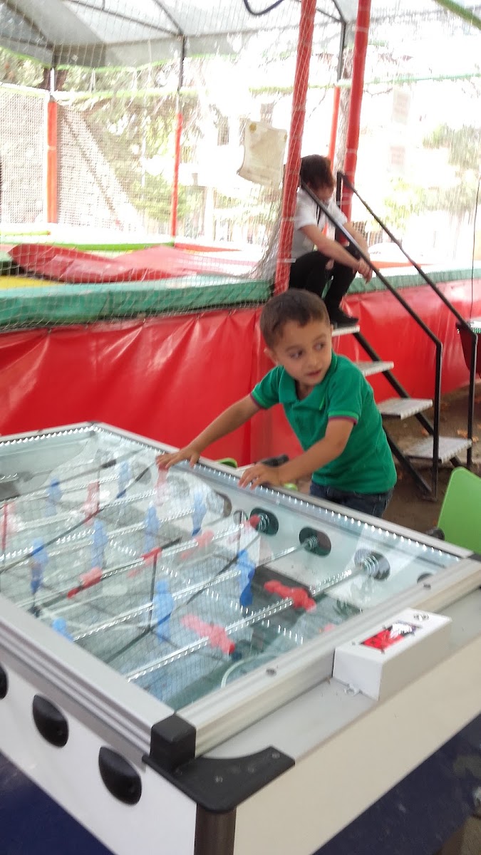 Sarisum aile çay bahçesi — photo 3