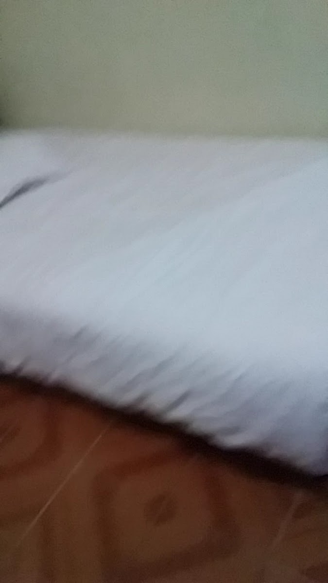 Şark Mermer Otel — fotoğraf 3