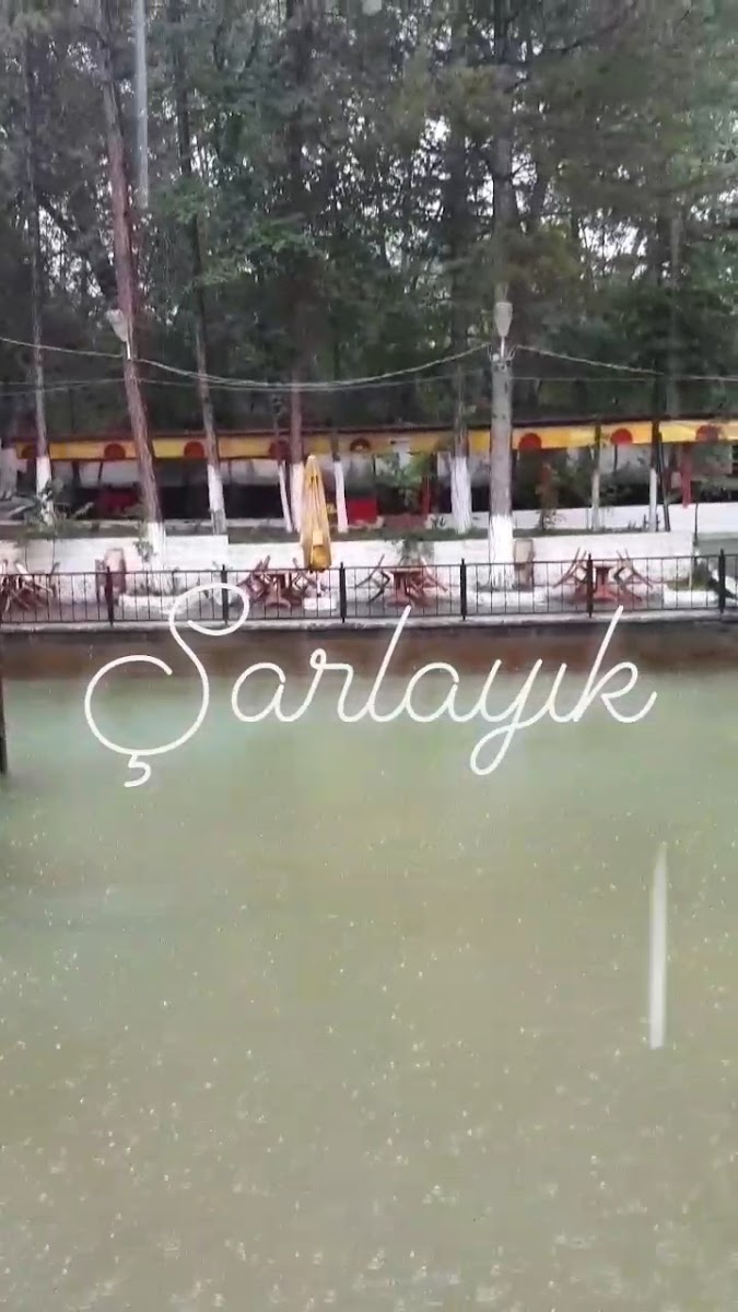 Şarlayık Mesire Yeri — fotoğraf 3