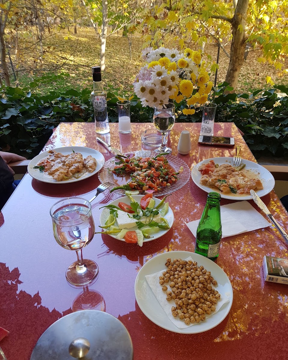 SARMAŞIK RESTAURANT & OTEL — photo 2