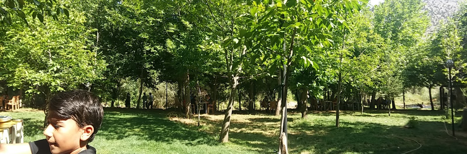 SARMAŞIK RESTAURANT & OTEL — photo 5