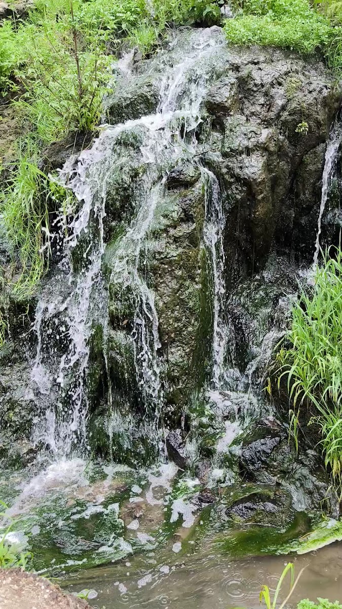 Şato Restaurant Bilecik — fotoğraf 3