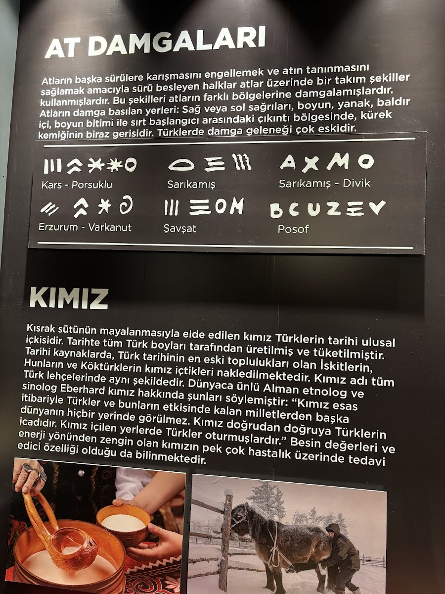 Savaş Atları Müzesi — fotoğraf 2