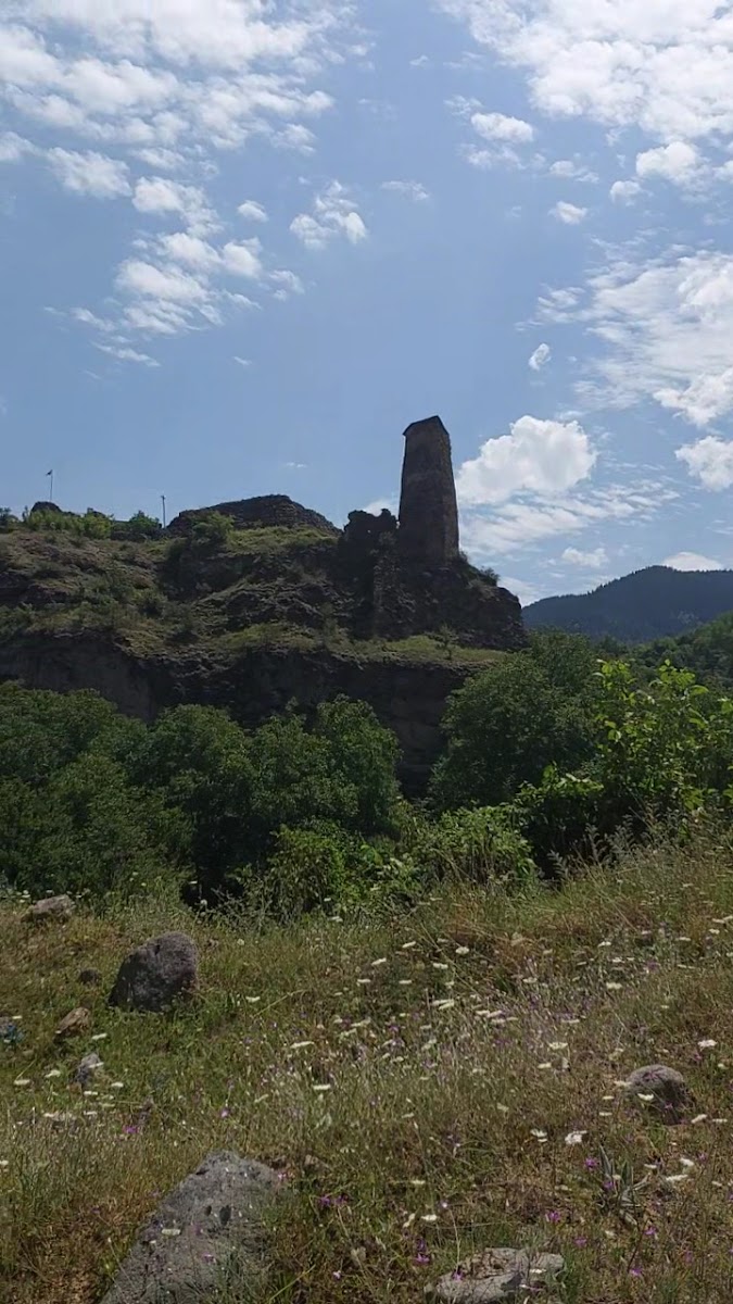 Şavşat Kale — fotoğraf 3