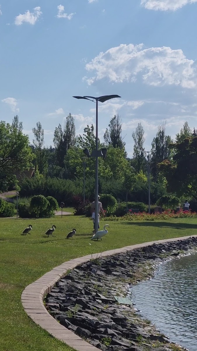 Sazova Bilim Parkı — fotoğraf 2