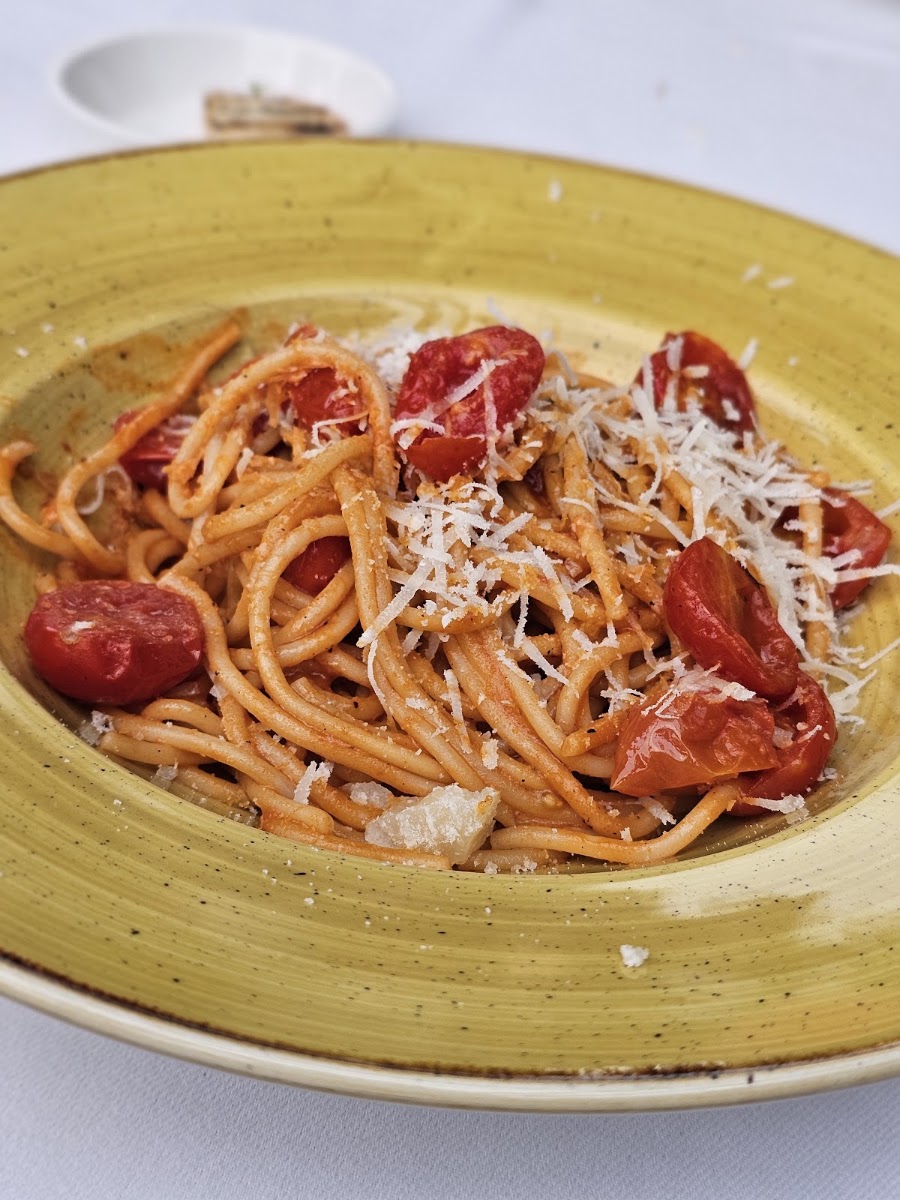Scarpetta — photo 11