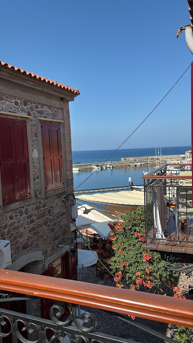 Sea Horse Hotel — photo 3