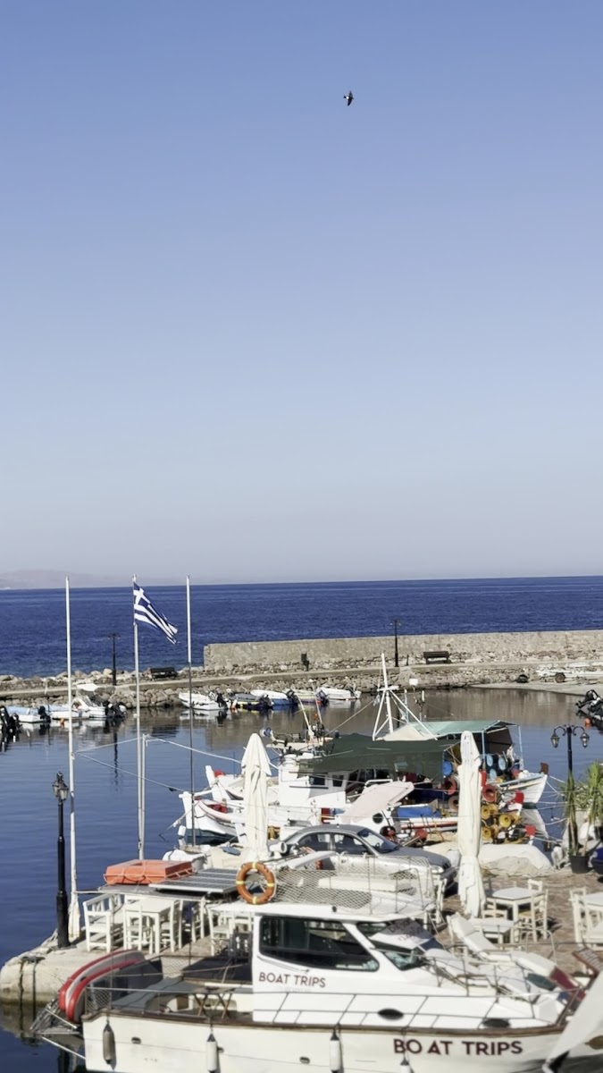 Sea Horse Hotel — fotoğraf 3