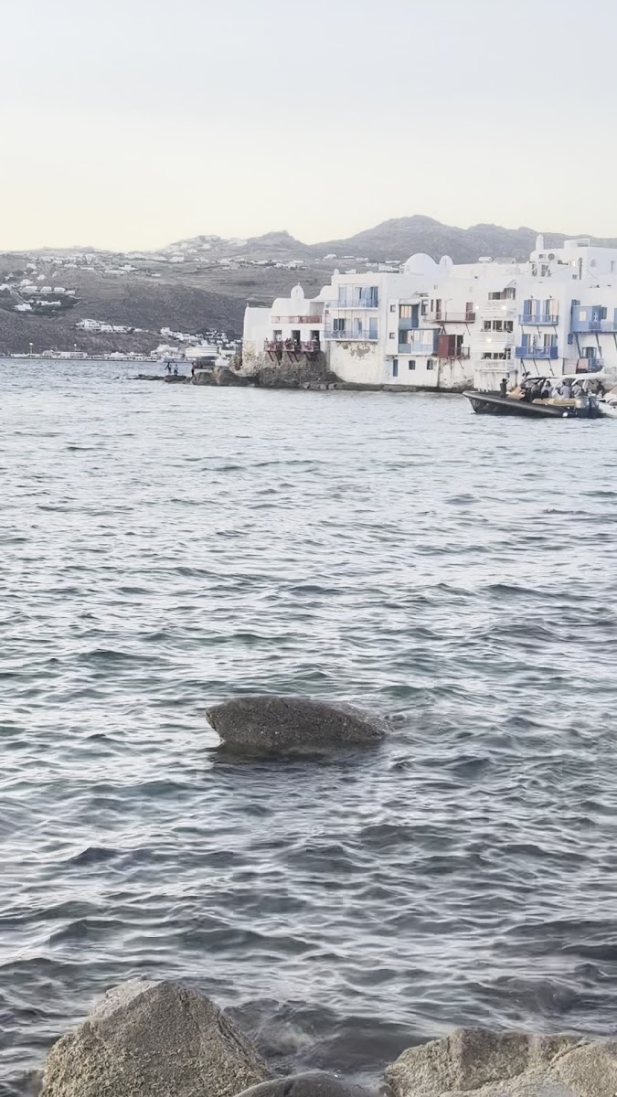 Sea Satin Market by Caprice Mykonos — photo 3