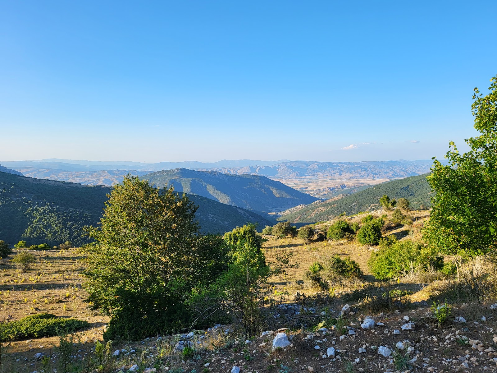 Şebek yaylası — photo 2
