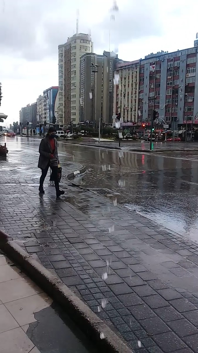 Seç Baklavaları — photo 3