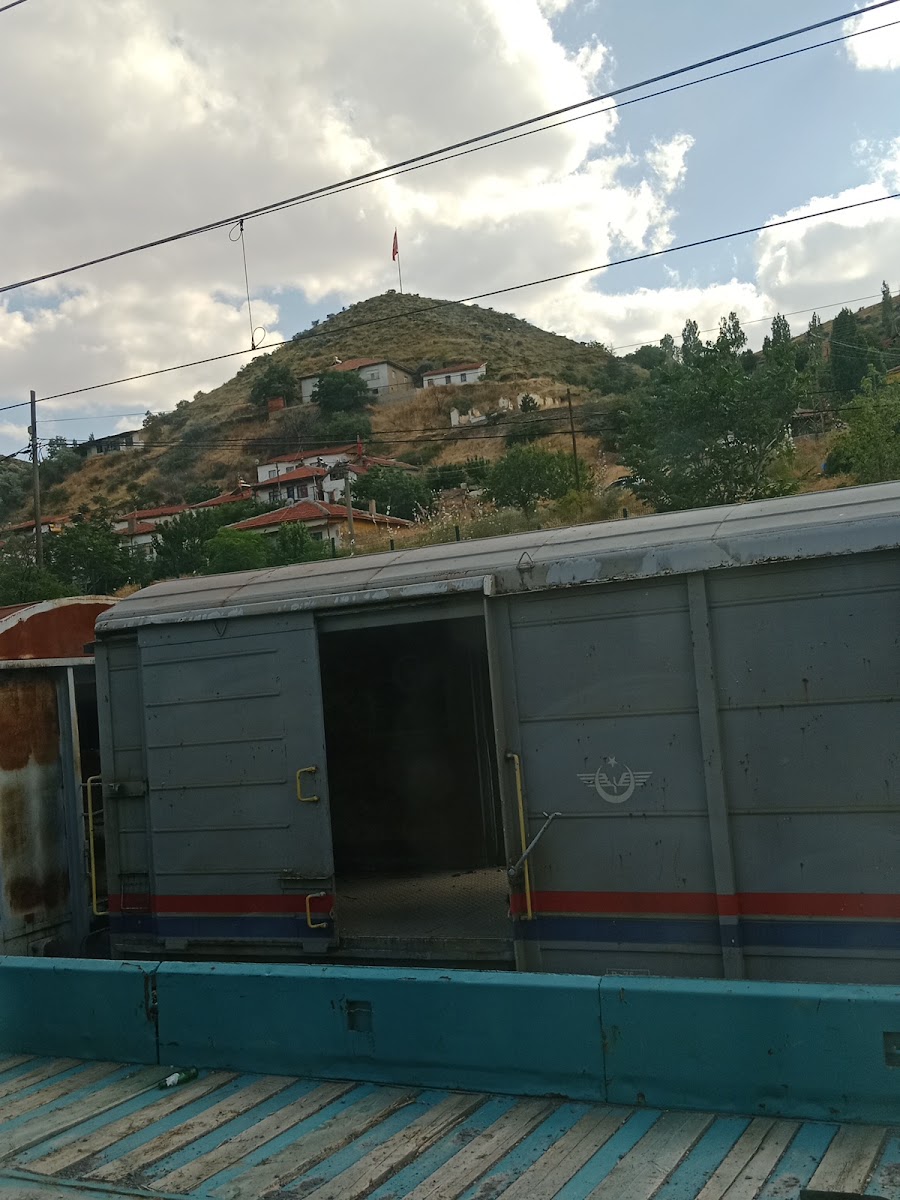 Şefaatli — photo 2