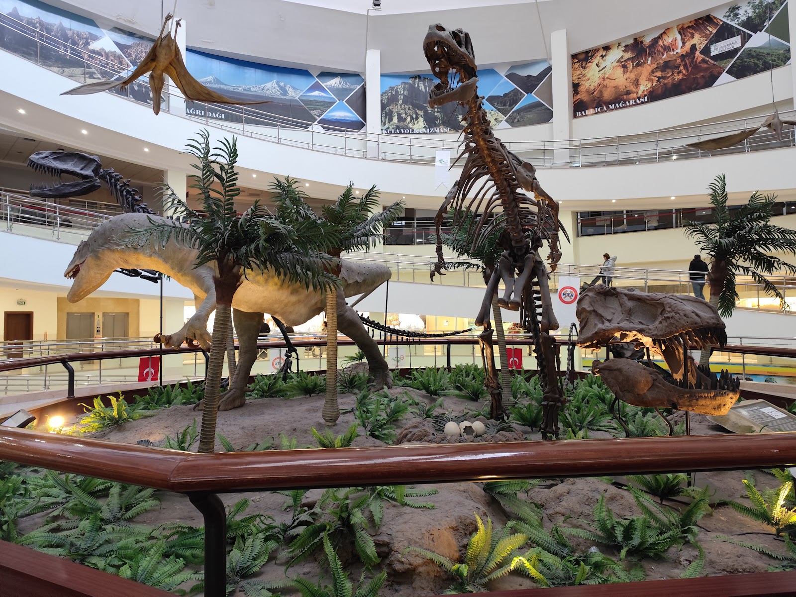 Şehit Cuma Dağ Tabiat Tarihi Müzesi