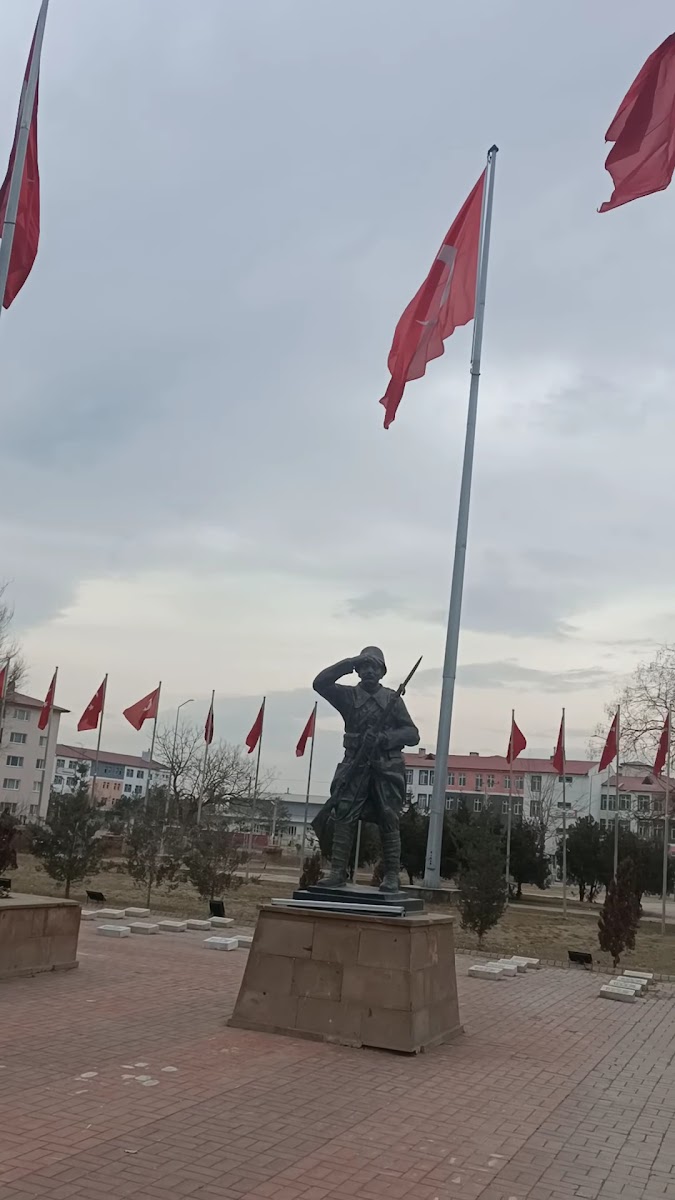 Şehit Mehmet Çavuş Anıt-Mezarı — fotoğraf 3