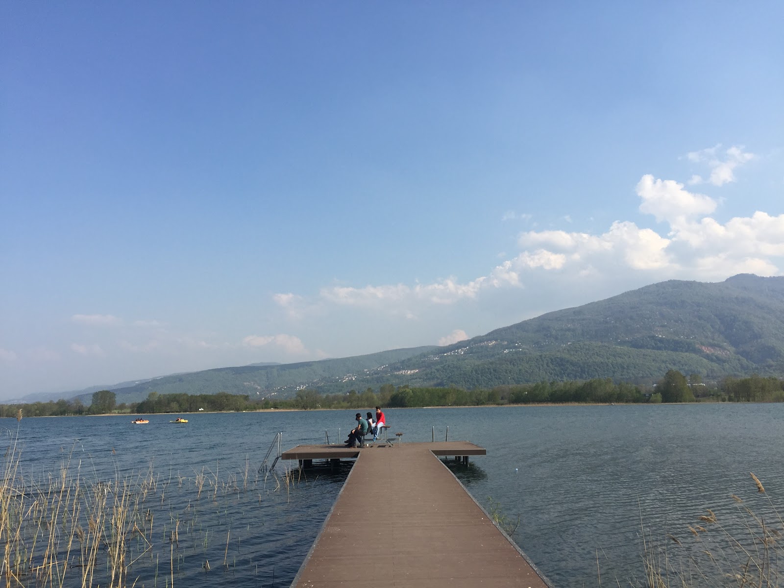 Seka kamp piknik alanı — fotoğraf 1
