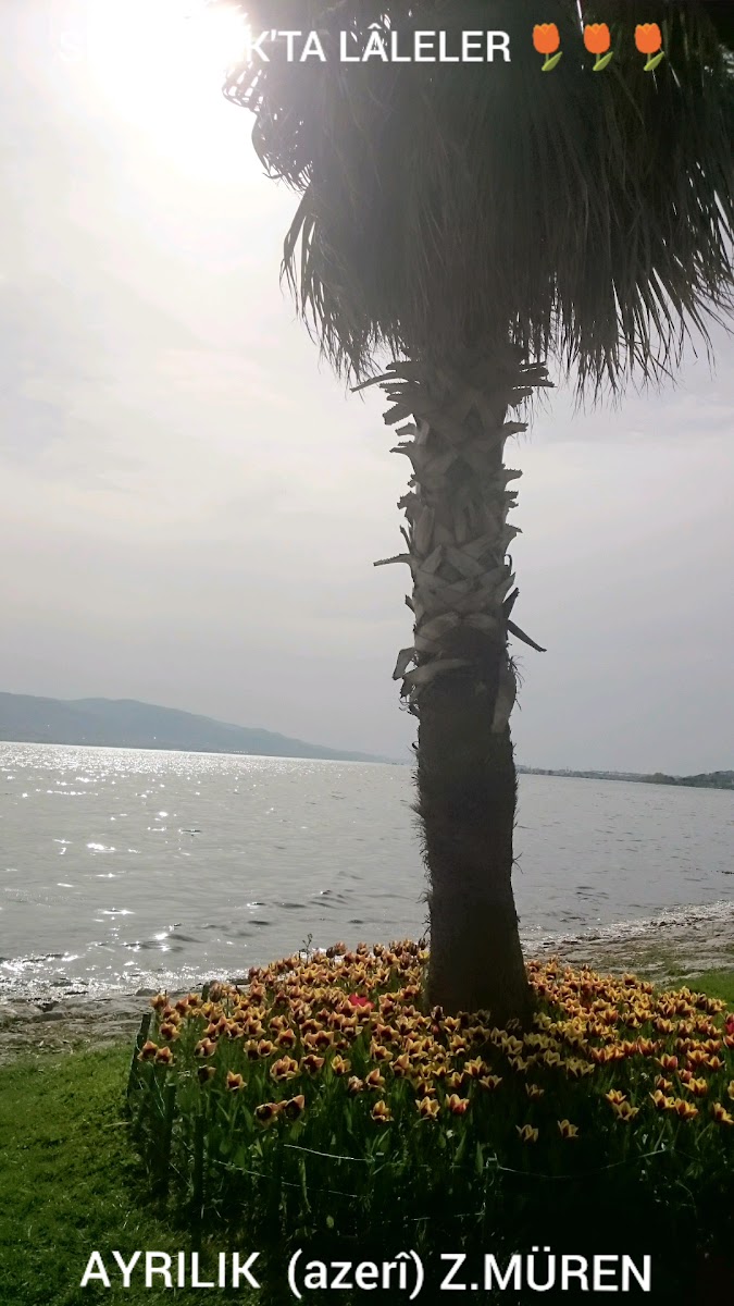 Sekapark 2.Etap — fotoğraf 4