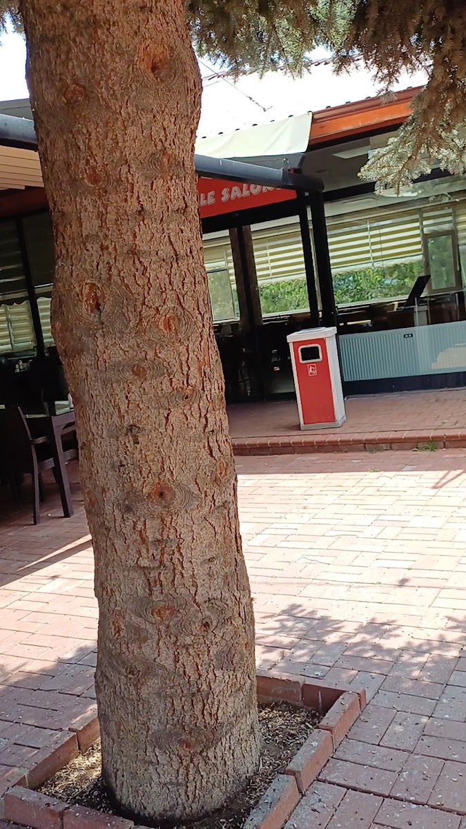 Şekerler Restorant — fotoğraf 3