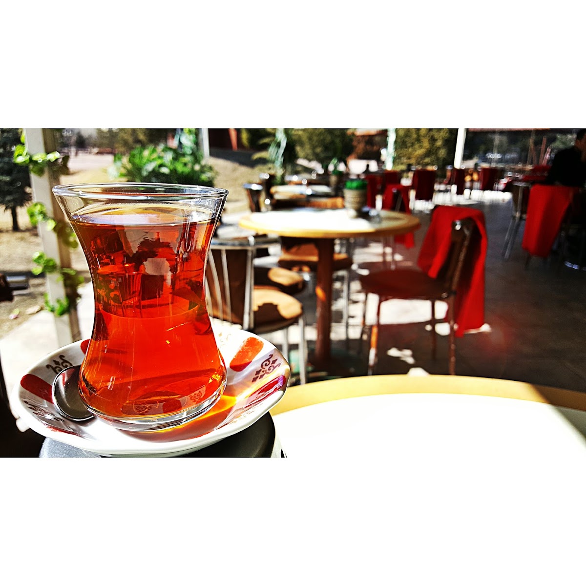 Şelale Aile Çay Bahçesi — fotoğraf 4