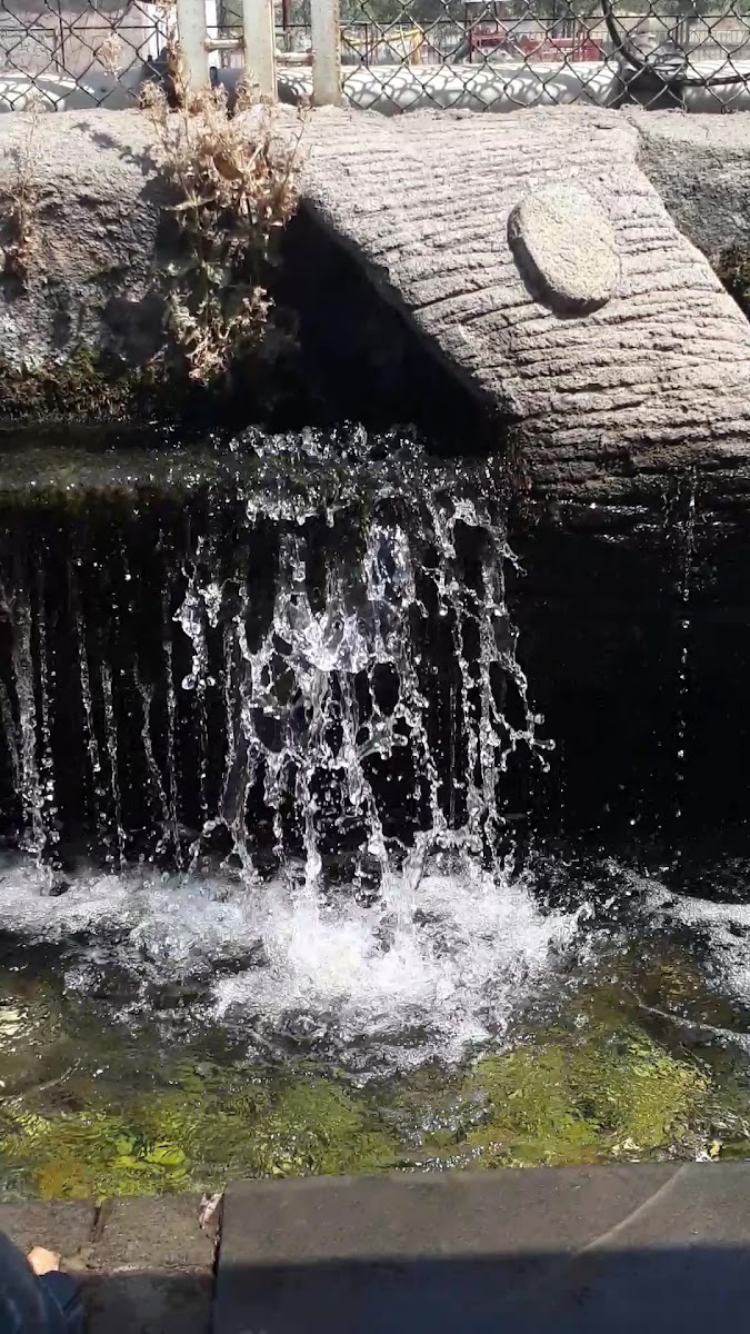 ŞELALE RESTAURANT VE CAFE — fotoğraf 3