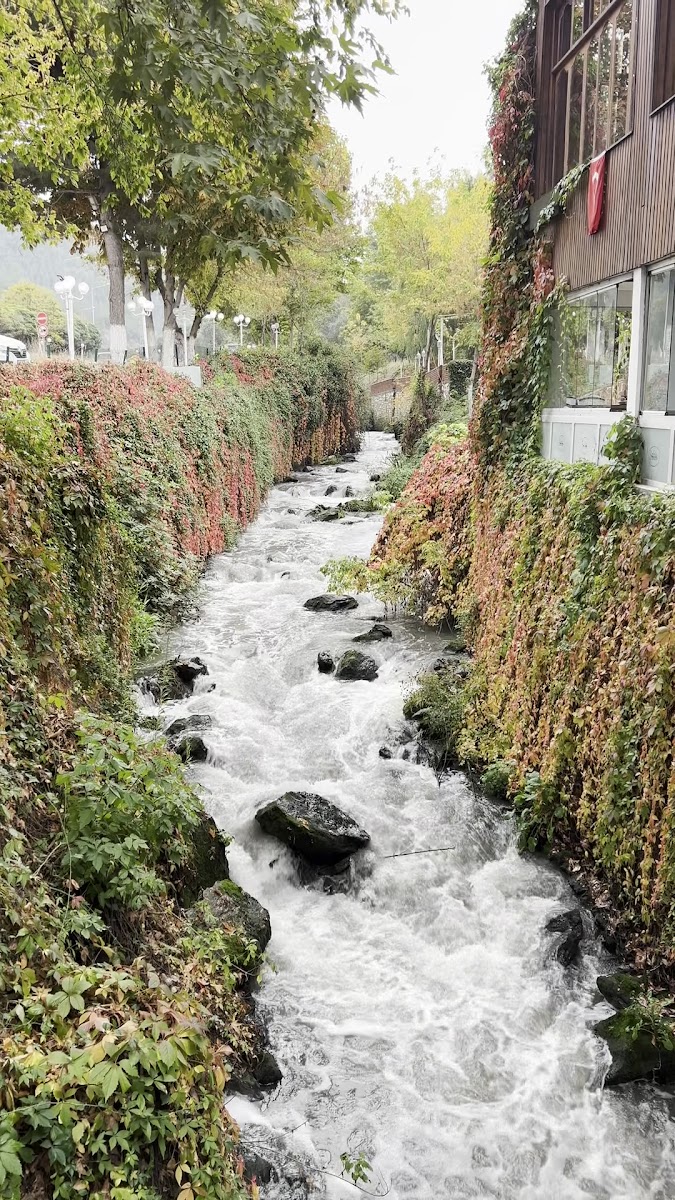 Şelale Restaurant — fotoğraf 3