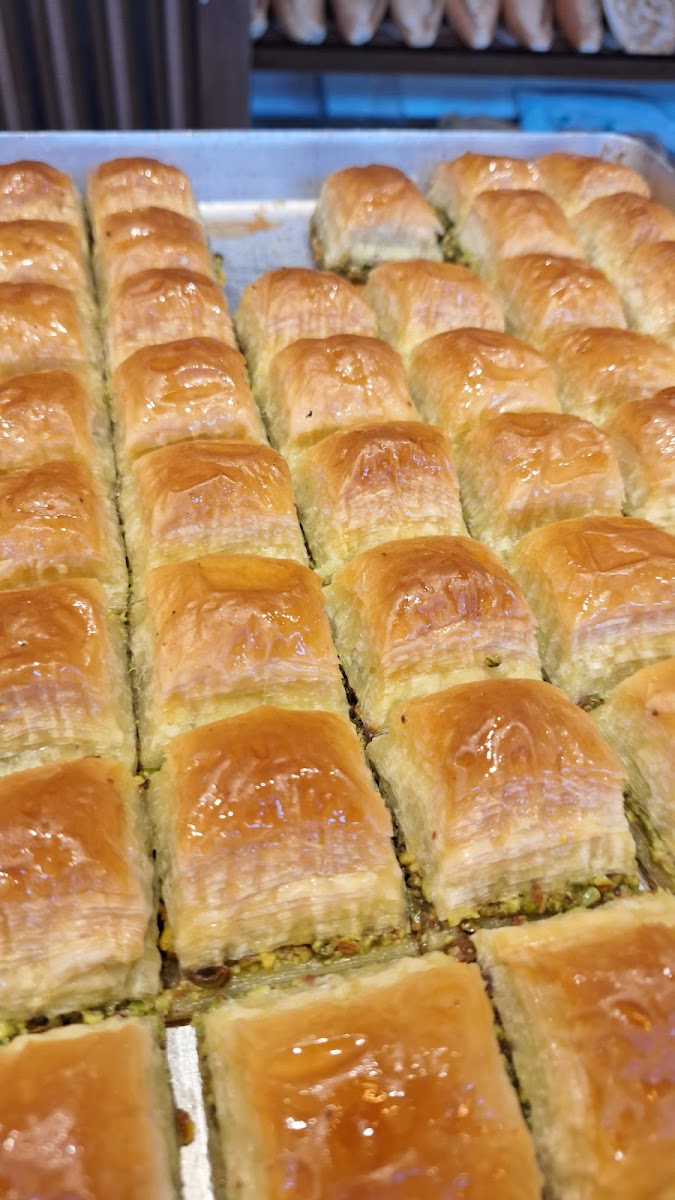 Selami Usta — fotoğraf 4