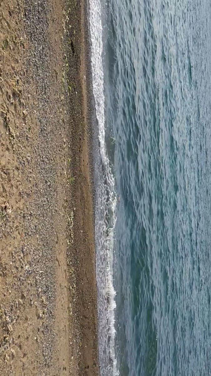 Selander Çamlıbel Kadınlar Plajı — photo 7