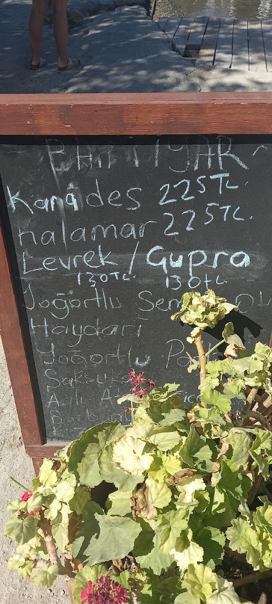Sardunya otel — fotoğraf 2
