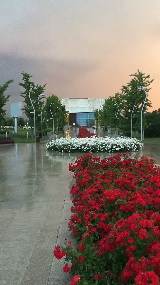 Şemkir Eylence Parkı — photo 4