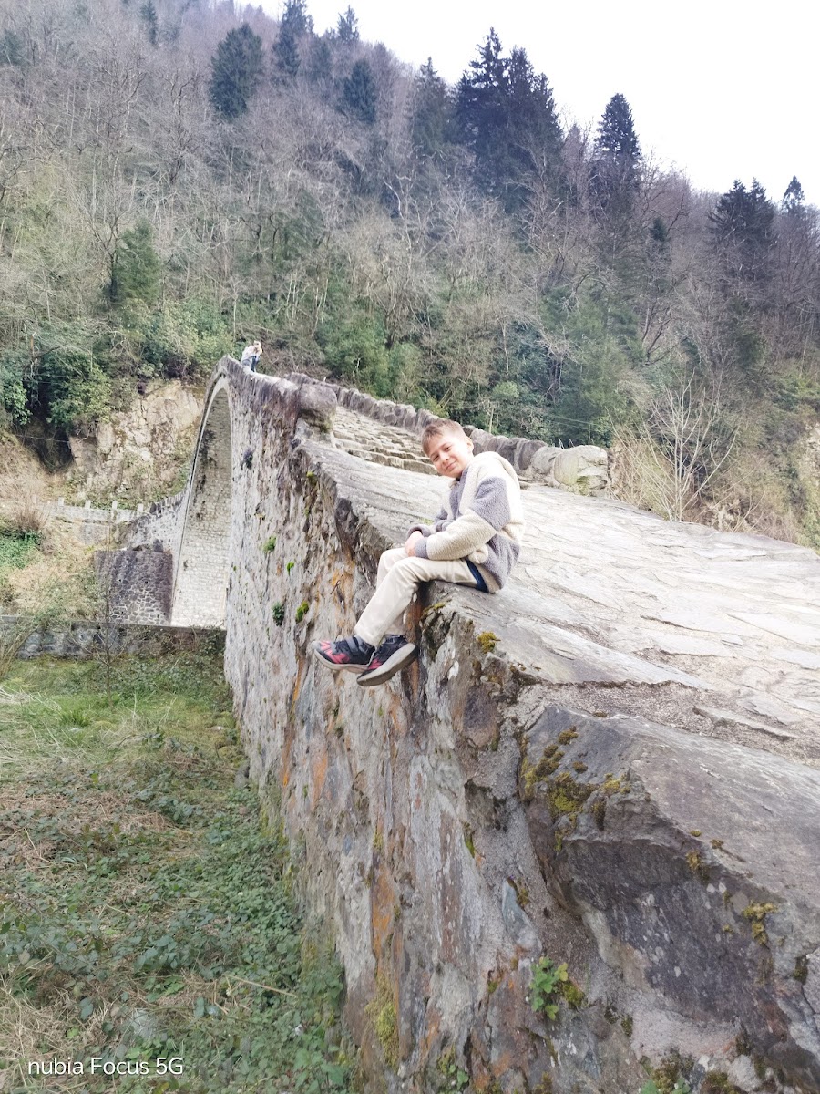 Şenyuva Köprüsü — fotoğraf 2