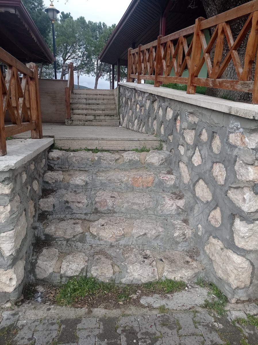 Serçoban Türbesi — fotoğraf 2