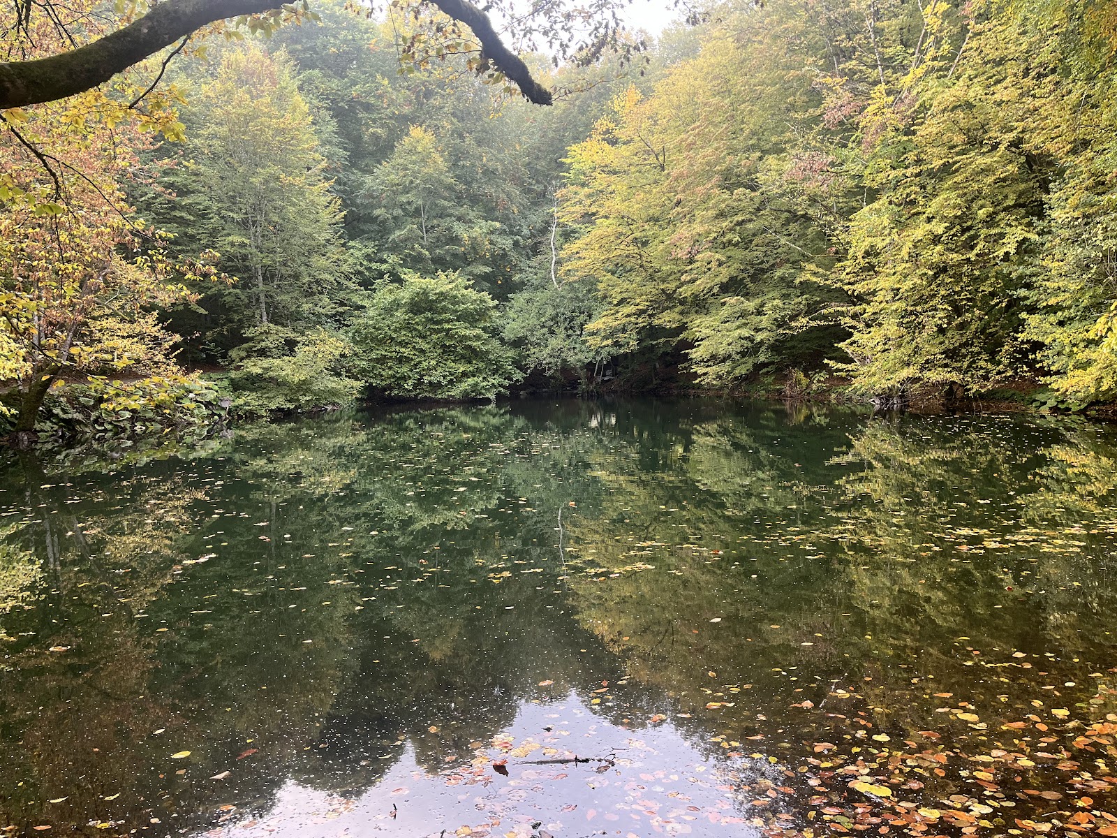 Seri̇n Göl — fotoğraf 1