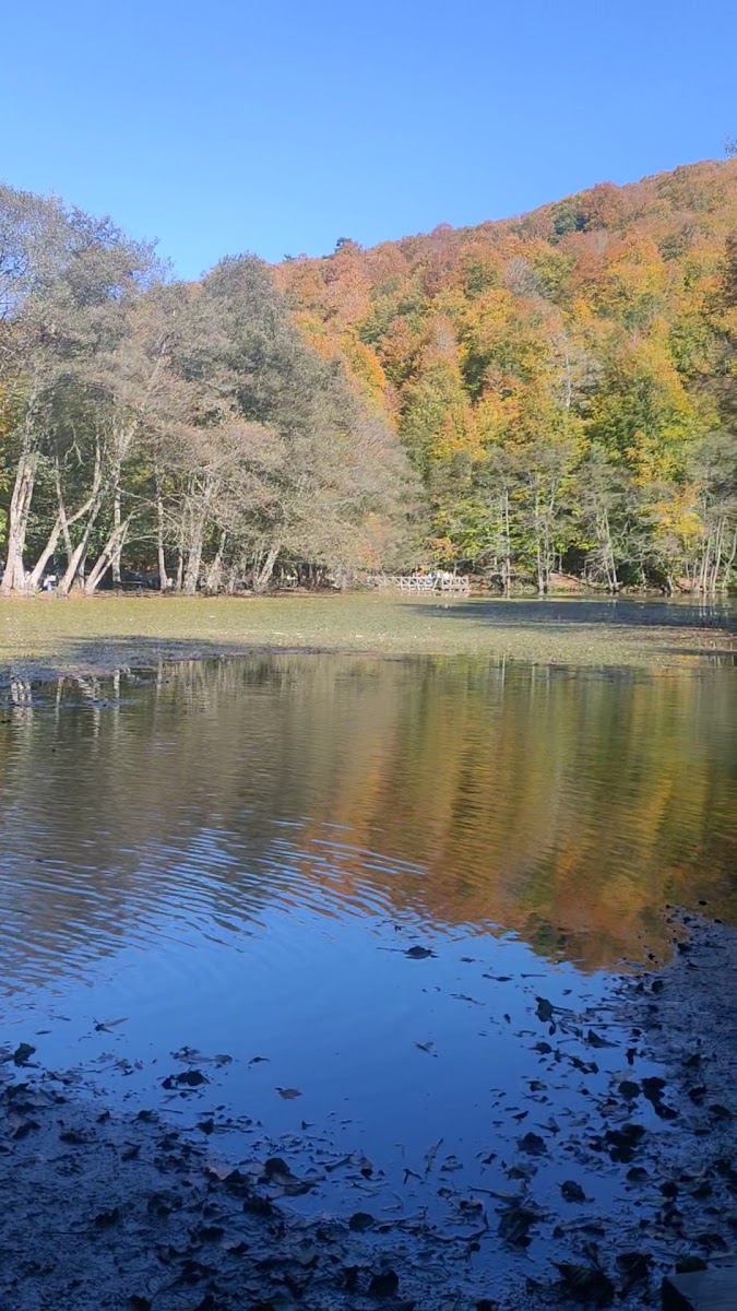 Seri̇n Göl — fotoğraf 2