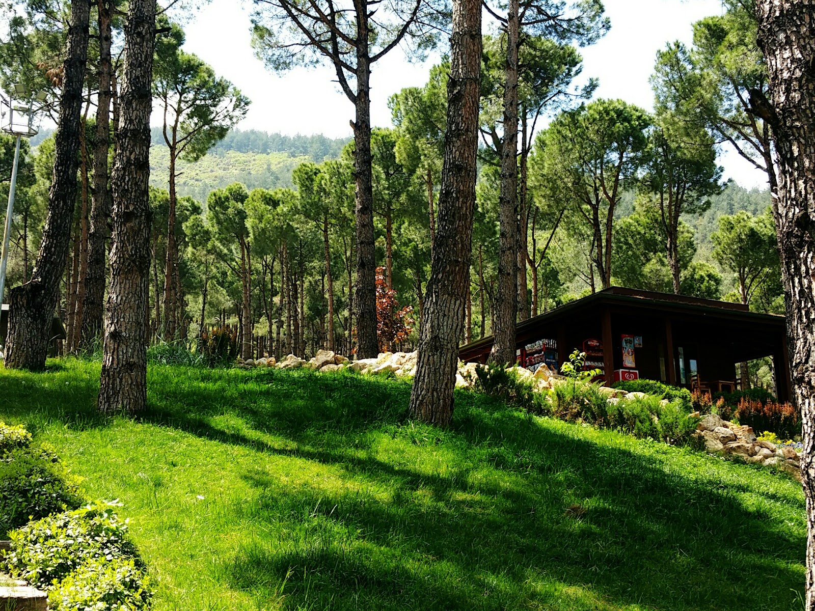 Servergazi Parkı — fotoğraf