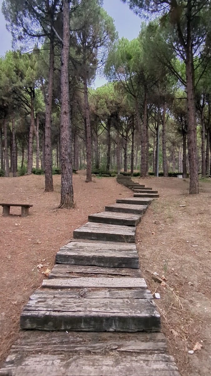 Servergazi Parkı — fotoğraf 2