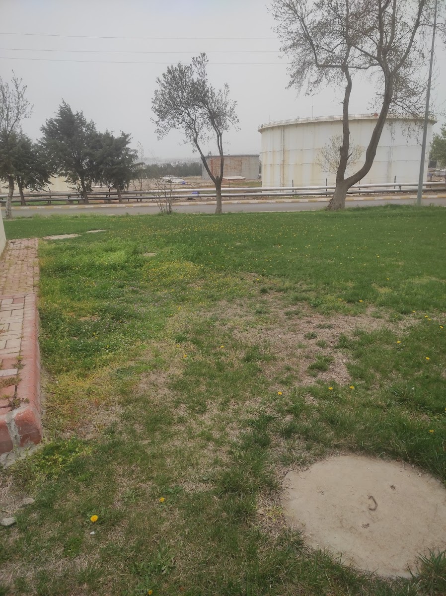Şerzan Kurt parkı — fotoğraf