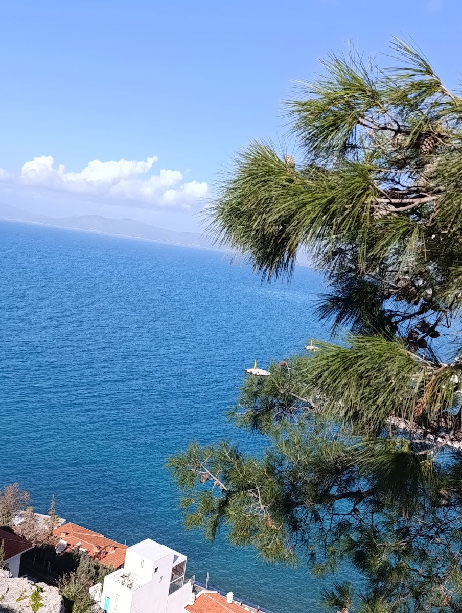 Sevda Tepesi — fotoğraf 2