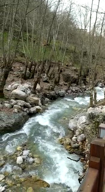 Sêvek Mesire Alanı — fotoğraf 2