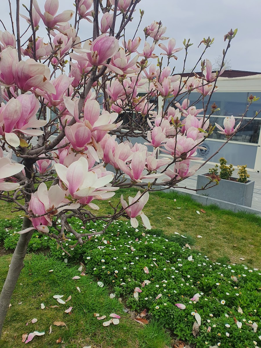 Sevgi Gölü — fotoğraf 2