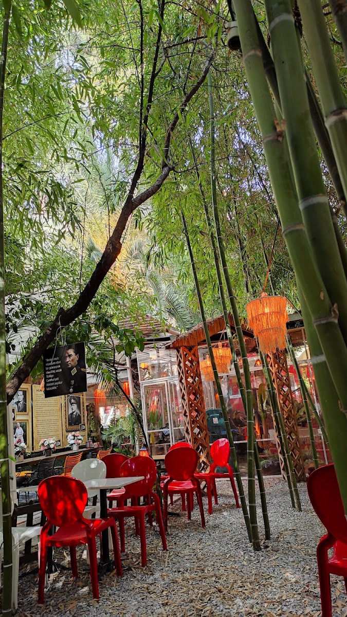 Sevgi Sokağı Bahçe — fotoğraf 5